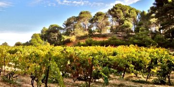 domaine val de caire