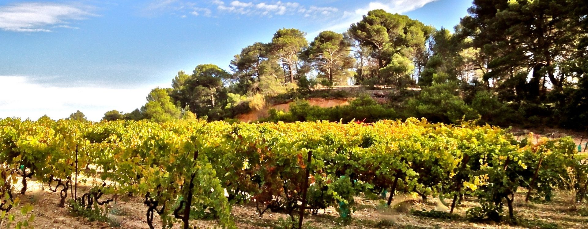 domaine val de caire